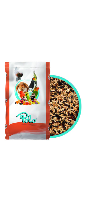 POLO KARIŞIK STANDART KANARYA YEMİ 20 KG